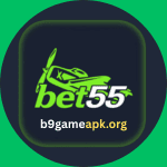 Bet 55 Game