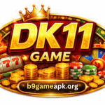 DK11 Game