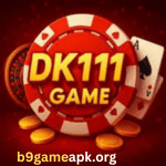 DK111 Game