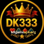 DK333 Game