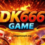 DK666 Game