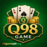 Q98 Game